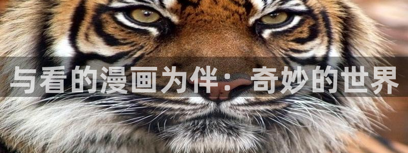 羞羞漫画成人汗汗漫画嘿嘿漫画：与看的漫画为伴：奇妙的世界