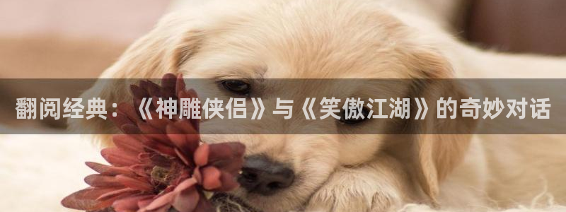 羞羞漫画平台下载：翻阅经典：《神雕侠侣》与《笑傲江湖》的奇妙对话