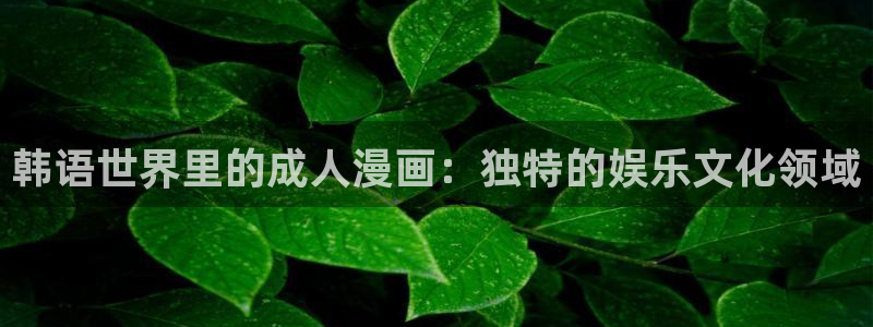 羞羞漫画下：韩语世界里的成人漫画：独特的娱乐文化领域