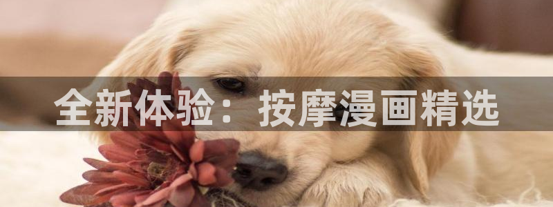 羞羞漫画网页登录界面：全新体验：按摩漫画精选