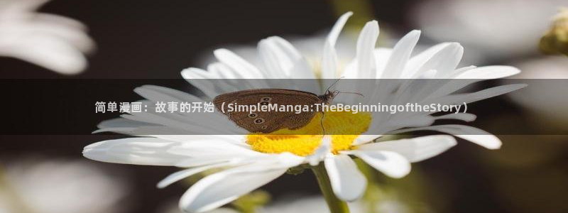 韩漫漫画羞羞漫画：简单漫画：故事的开始（SimpleManga:TheBeginningoftheStory）