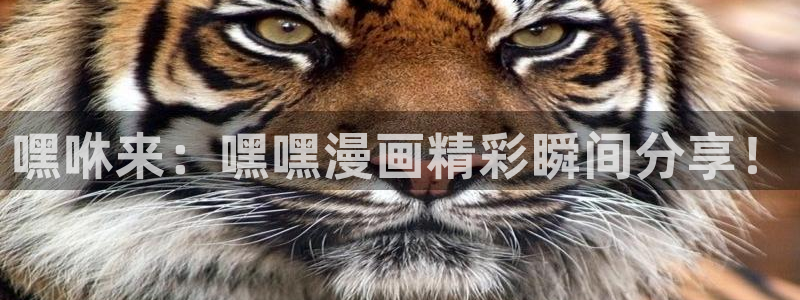 韩国羞羞漫画大全：嘿咻来：嘿嘿漫画精彩瞬间分享！