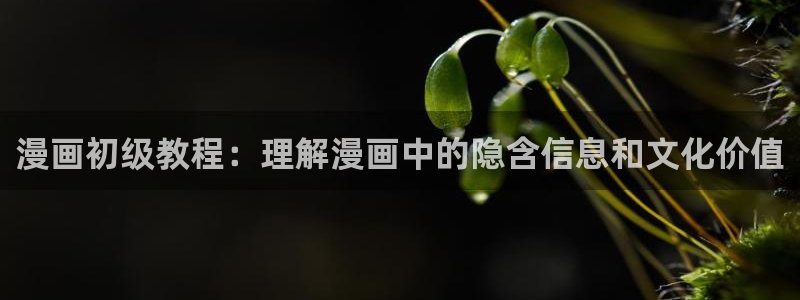 羞羞漫画羞漫画：漫画初级教程：理解漫画中的隐含信息和文化价值