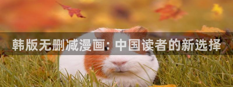 羞羞漫画继母的朋友们：韩版无删减漫画: 中国读者的新选择