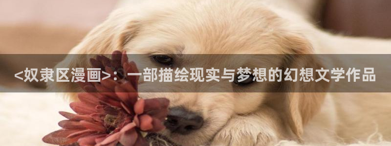 羞羞漫画免费在线阅读：<奴隶区漫画>：一部描绘现实与梦想的幻想文学作品