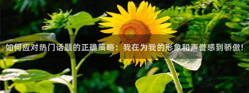 日本无遮挡羞羞漫画：如何应对热门话题的正确策略：我在为我的形象和声誉感到骄傲!