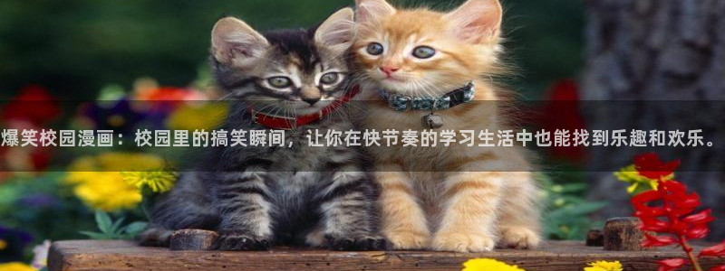 羞羞漫画av漫画嘿咻漫画：爆笑校园漫画：校园里的搞笑瞬间，让你在快节奏的学习生活中也能找到乐趣和欢乐。
