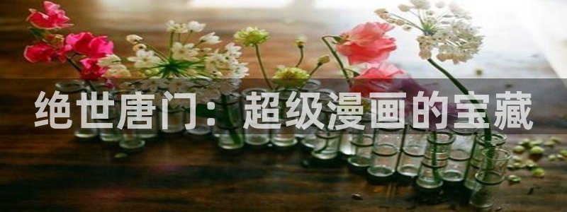 羞羞漫画网页入口处：绝世唐门：超级漫画的宝藏