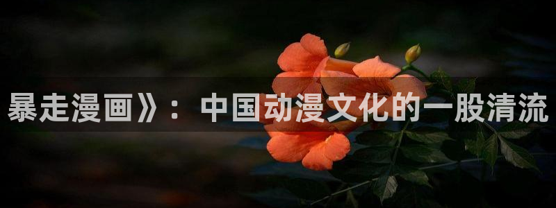 羞羞漫画韩漫歪歪漫画：暴走漫画》：中国动漫文化的一股清流