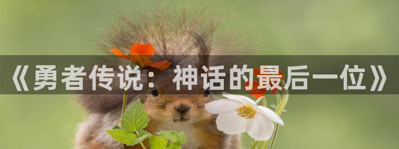 歪歪羞羞漫画免费观看：《勇者传说：神话的最后一位》