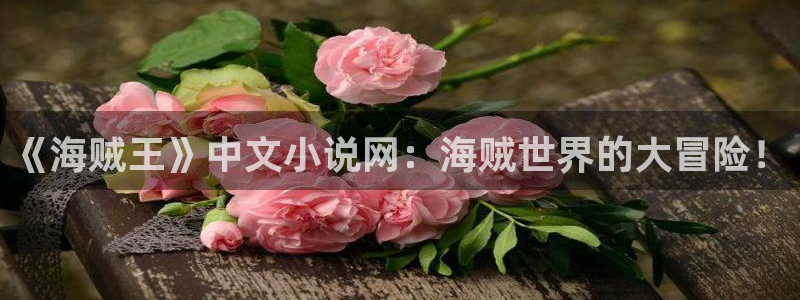 羞羞漫画阅读网站：《海贼王》中文小说网：海贼世界的大冒险！